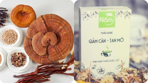 Nấm giảm cân Hoài Thương
